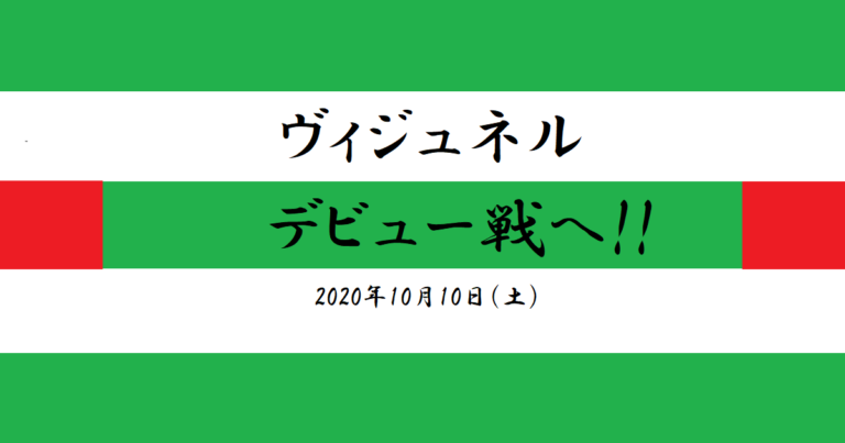 ヴィジュネル デビュー戦 10 10 Step Up 馬券から一口馬主へ