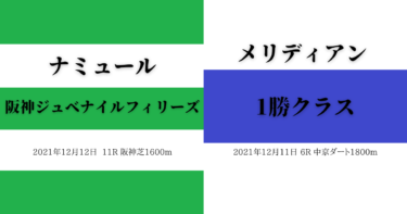 メリディアン 1勝クラス、ナミュール 阪神ジュベナイルフィリーズ（2021/12/11-12）