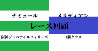 メリディアン 1勝クラス、ナミュール 阪神ジュベナイルフィリーズ レース回顧（2021/12/11-12）